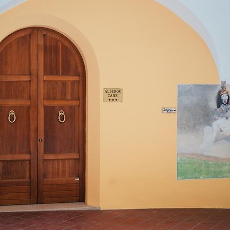 Albergo Cane ดอซซา ภายนอก รูปภาพ